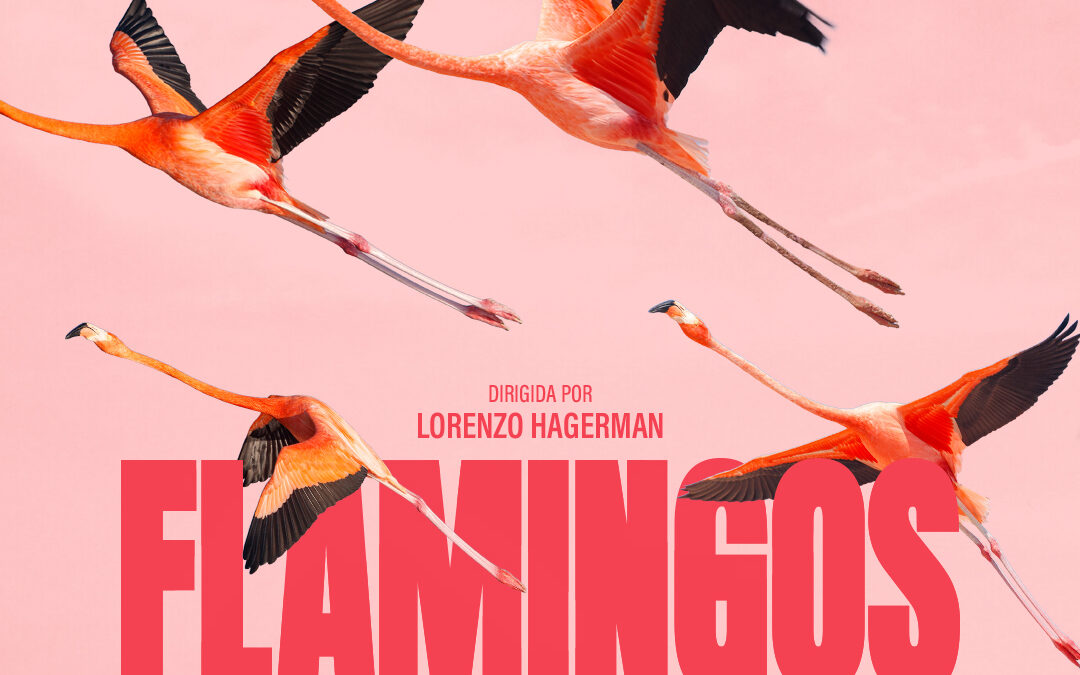 FLAMINGOS